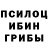 Галлюциногенные грибы мицелий joaquin perez