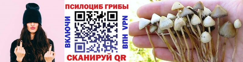 Псилоцибиновые грибы мицелий  где найти   Красноуральск 